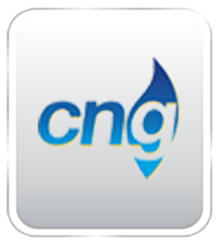PT. Citra Nusantara Gemilang : Perusahaan yang bergerak dibidang Compressed Natural Gas